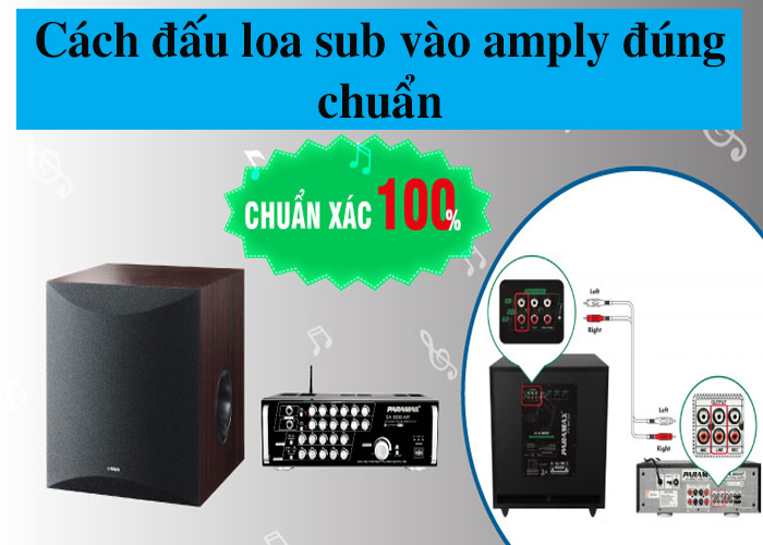 Cách đấu loa sub vào amply đúng chuẩn